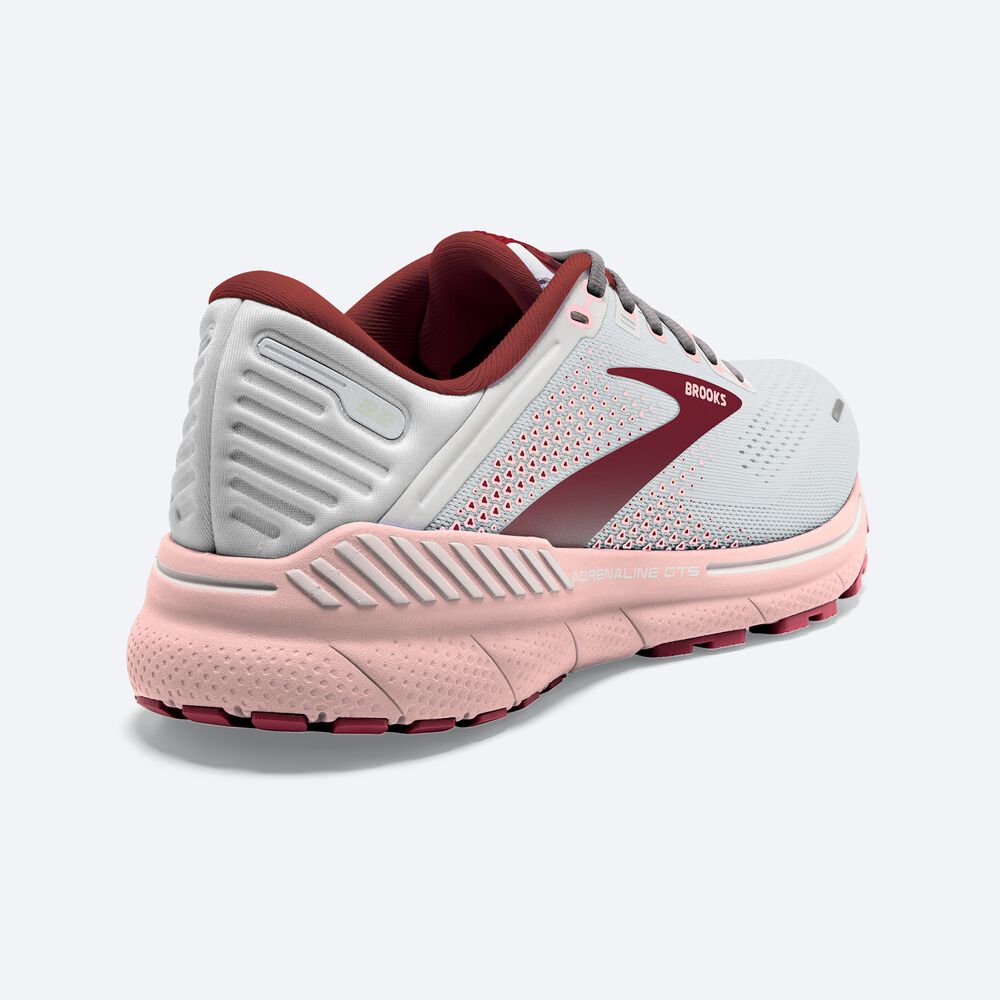 Brooks Adrenaline GTS 22 Löparskor Dam Grå/Rosa/Bruna | HQE-961834