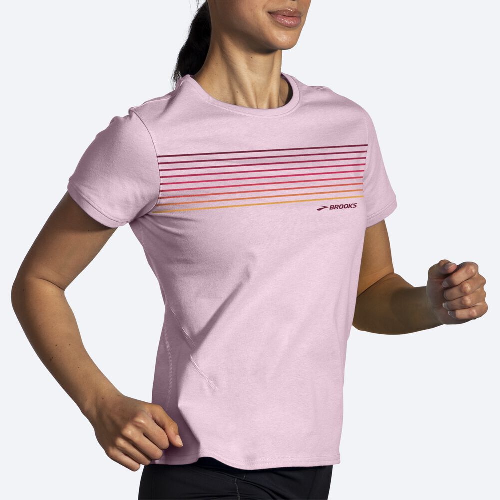 Brooks Distance Short Sleeve 2.0 T-shirt Dam Rosa/Randig | CIQ-017269