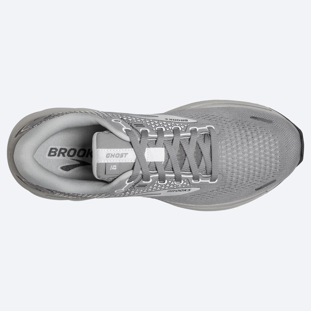 Brooks Ghost 14 Löparskor Dam Grå | RZO-816935