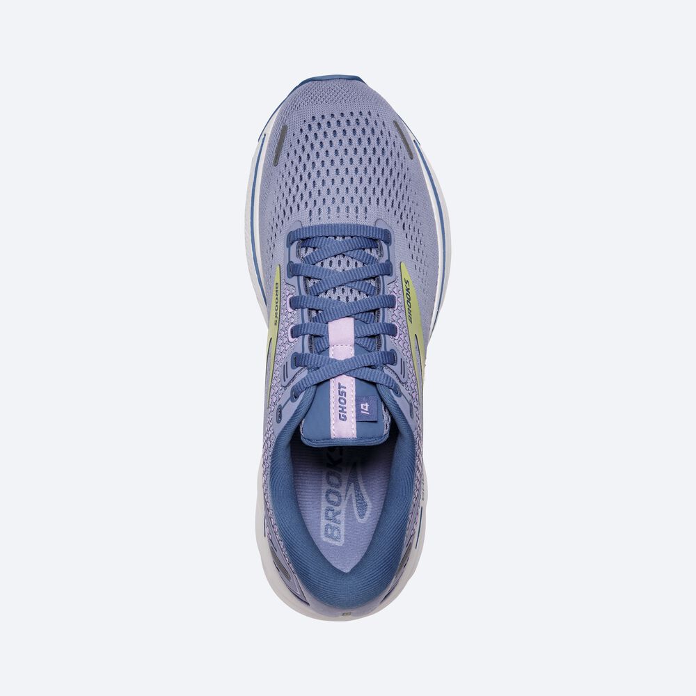 Brooks Ghost 14 Löparskor Dam Lila/LjusGröna | FTI-831549