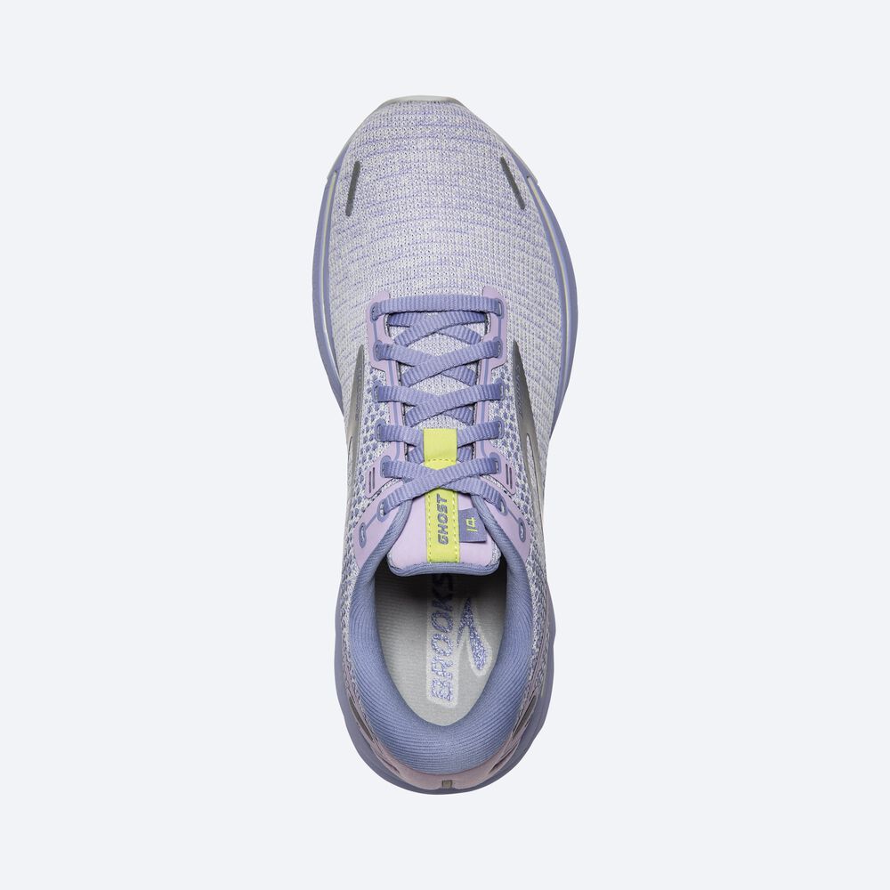 Brooks Ghost 14 Löparskor Dam Lila/LjusGröna | ZWT-029451