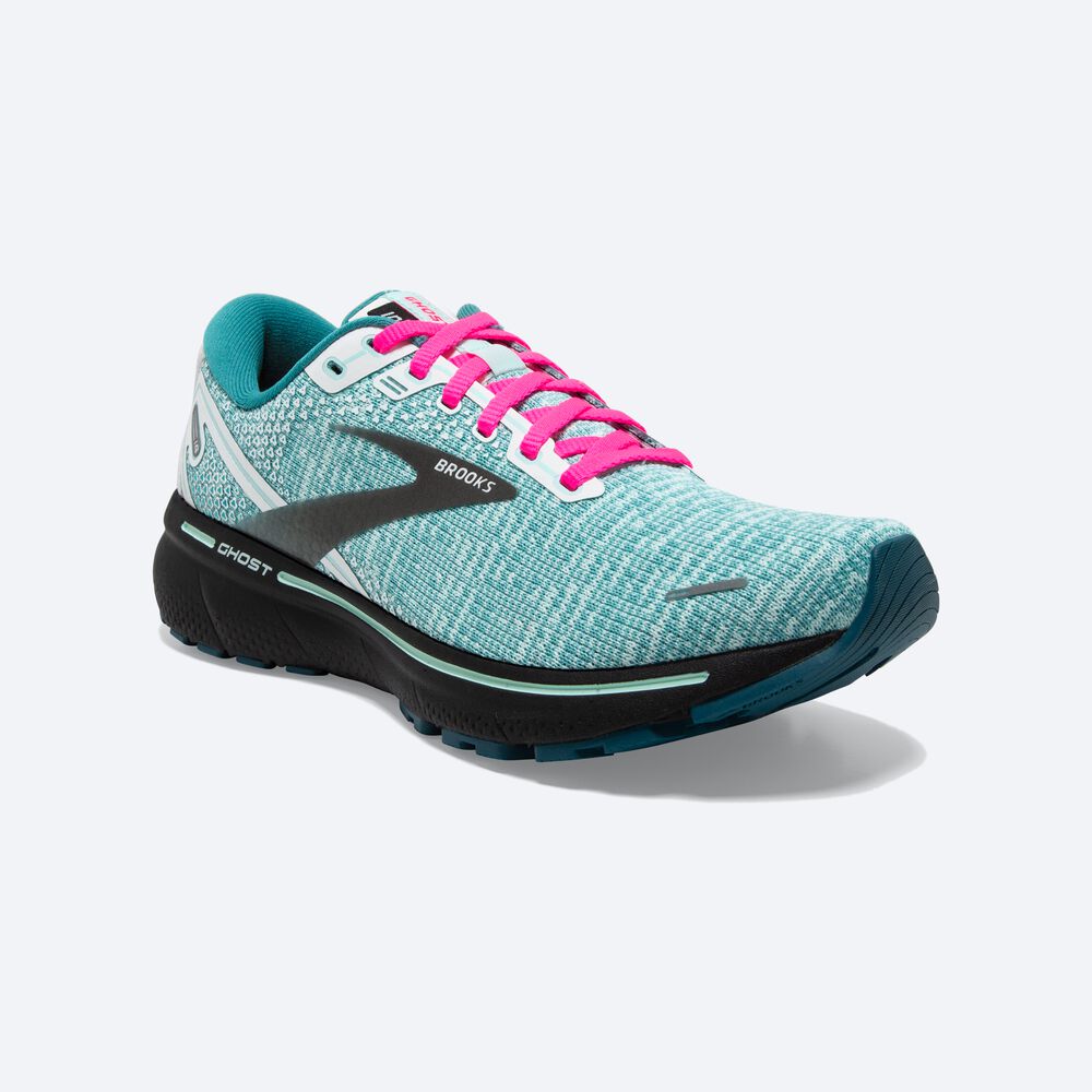 Brooks Ghost 14 Löparskor Dam Vita/Svarta/Blå | WAO-039184