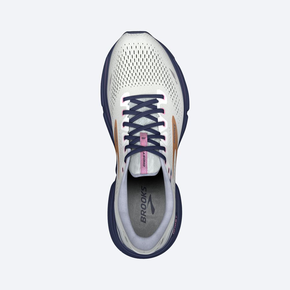 Brooks Ghost 15 Löparskor Dam Blå/Rosa/Koppar | EHO-179625