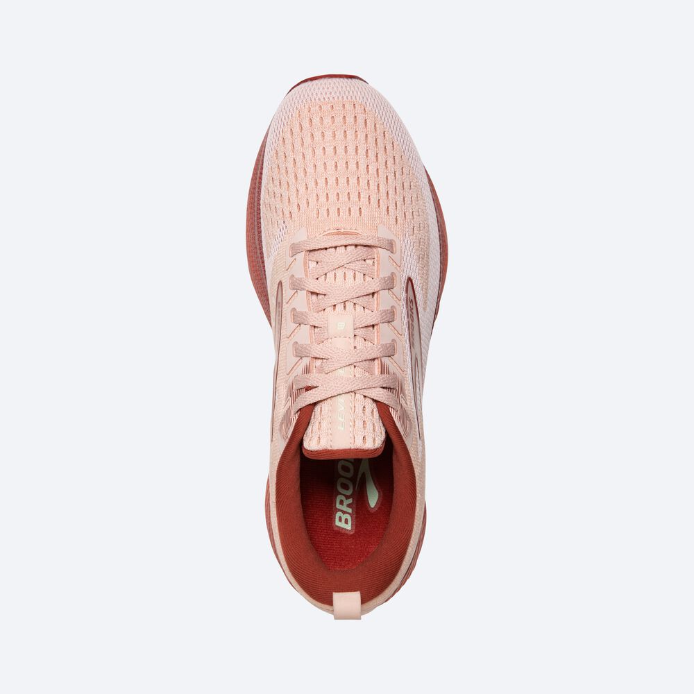 Brooks Levitate 6 Löparskor Dam Rosa | UXS-509346