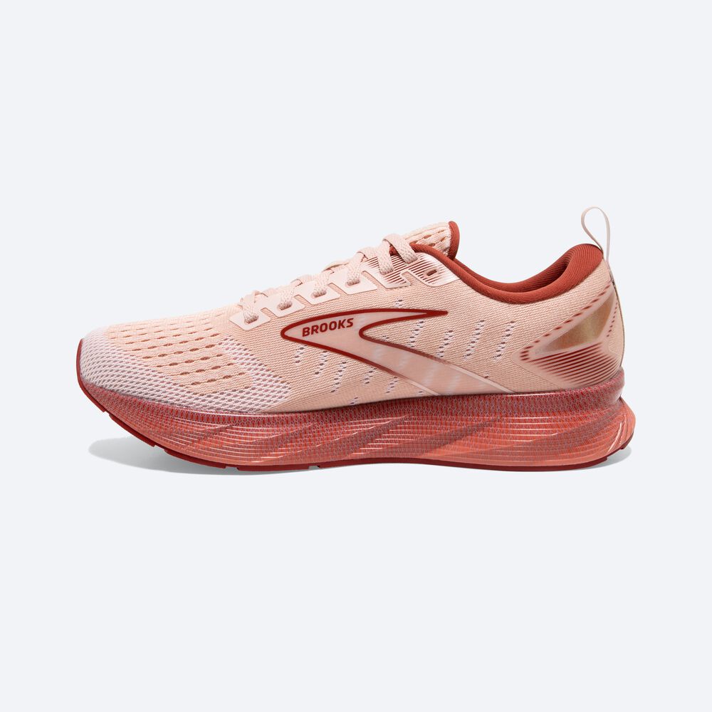 Brooks Levitate 6 Löparskor Dam Rosa | UXS-509346