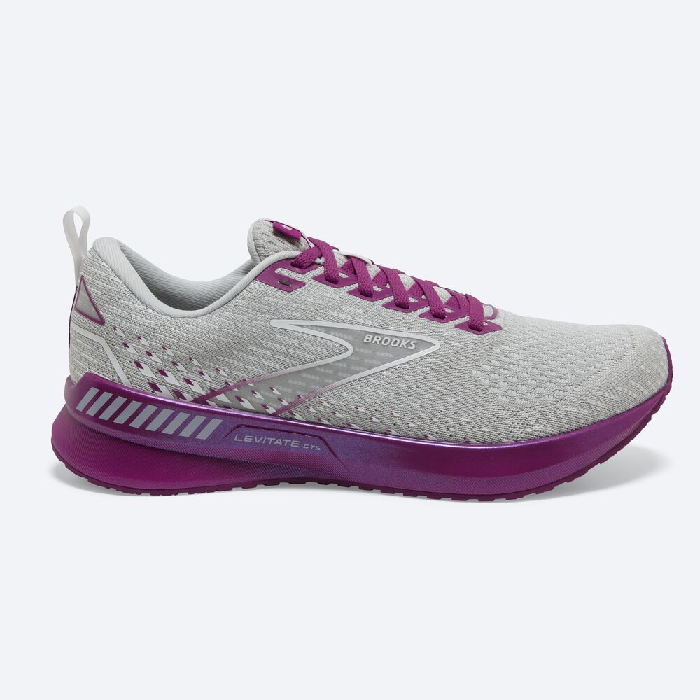 Brooks Levitate GTS 5 Löparskor Dam Grå/Lavendel | PHE-679845