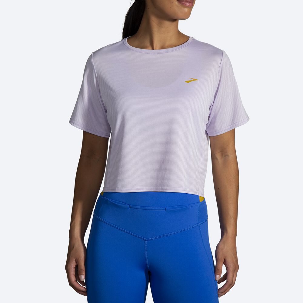 Brooks Run Within Crop Tee T-shirt Dam Lila Grå Randig | HCB-865019