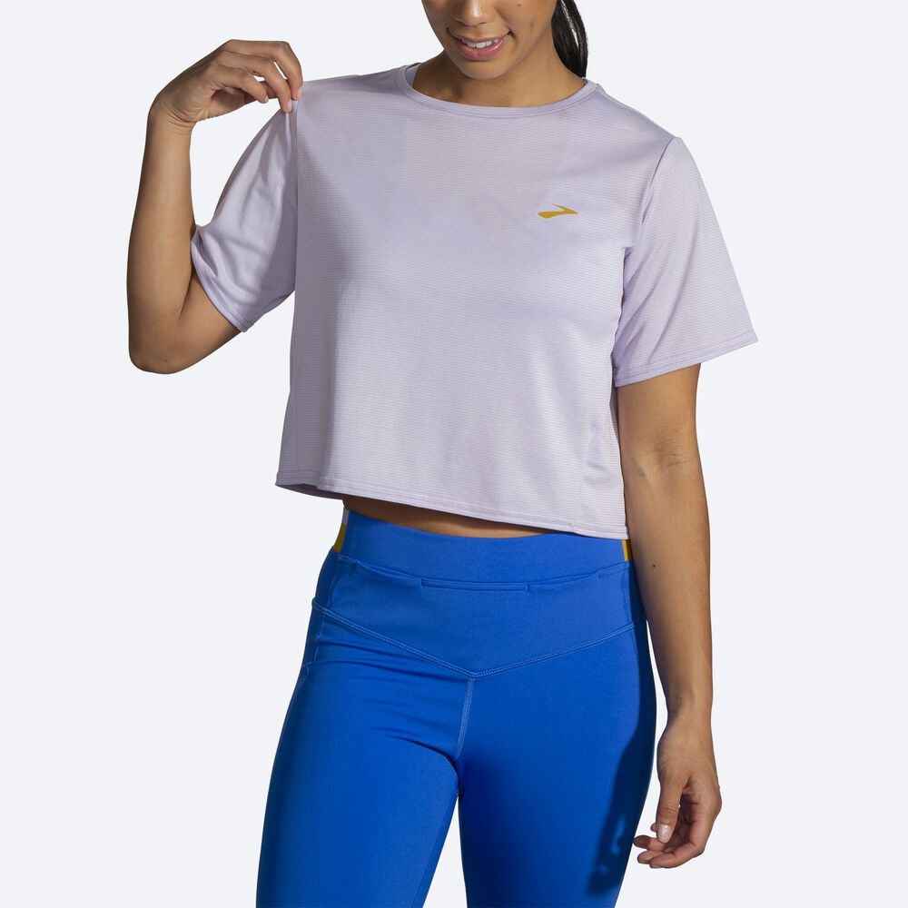 Brooks Run Within Crop Tee T-shirt Dam Lila Grå Randig | HCB-865019