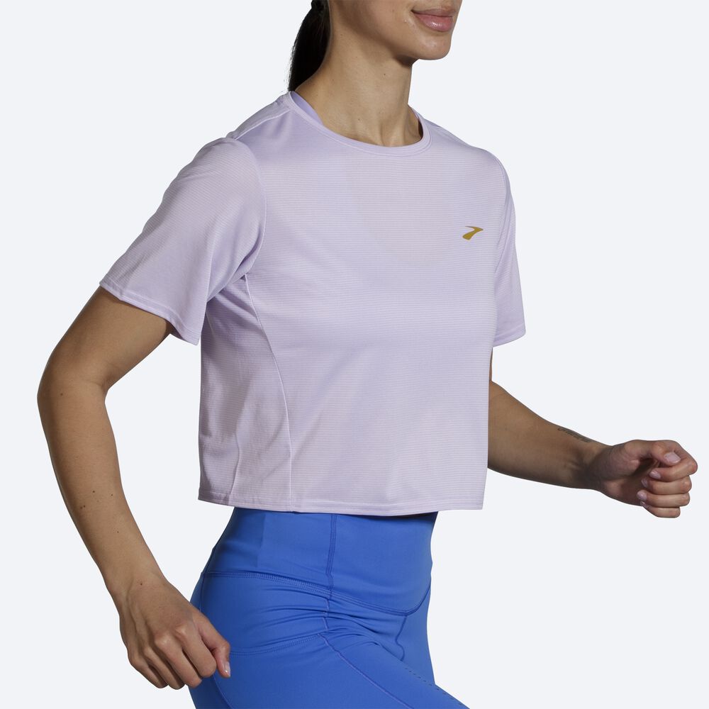 Brooks Run Within Crop Tee T-shirt Dam Lila Grå Randig | HCB-865019