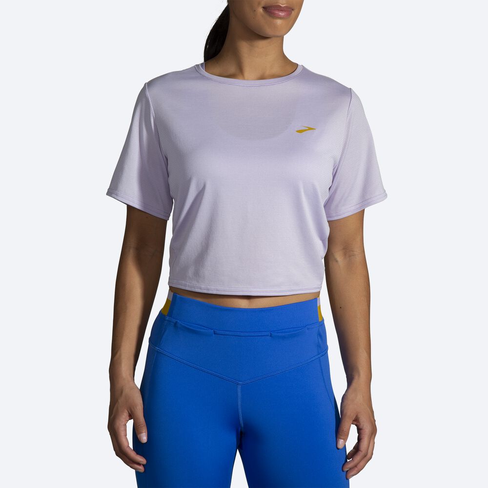 Brooks Run Within Crop Tee T-shirt Dam Lila Grå Randig | HCB-865019