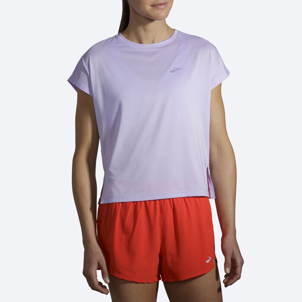 Brooks Sprint Free Short Sleeve T-shirt Dam Lila Grå | JUS-283691