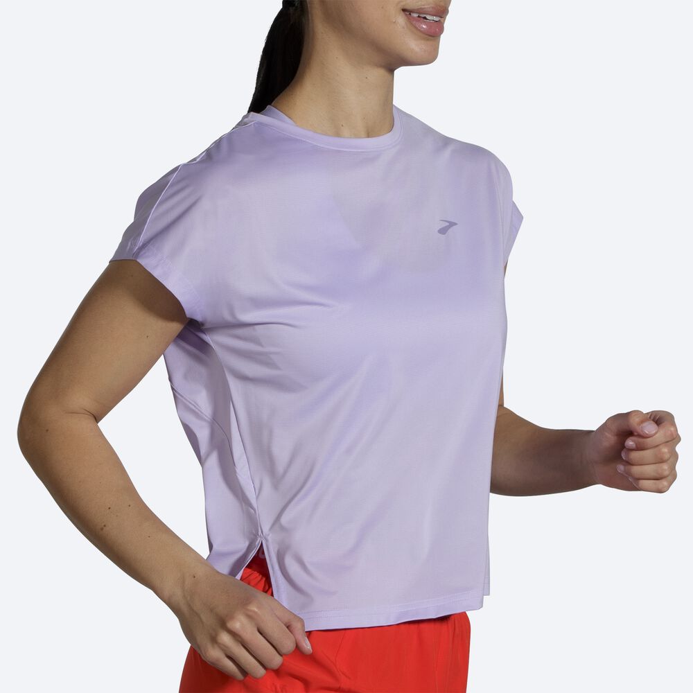 Brooks Sprint Free Short Sleeve T-shirt Dam Lila Grå | JUS-283691